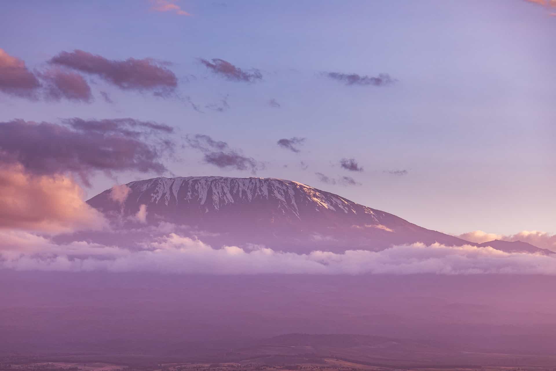 kilimanjaro